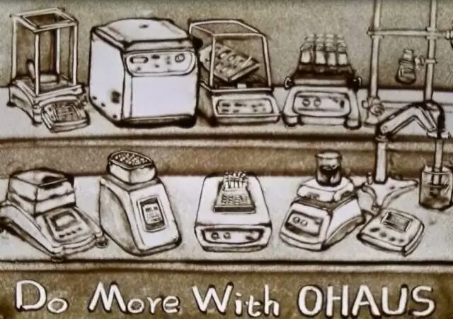 Ohaus奧豪斯AX電子天平動物稱重