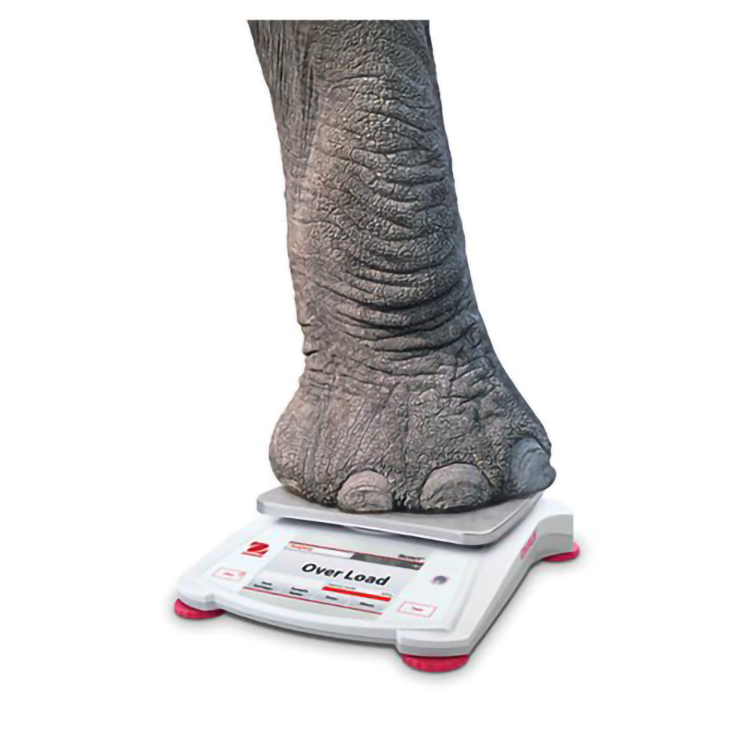 PORTABLE BALANCES SCOUT? STX  High-Performance Portable Balances with Intuitive Touchscreens for High Accuracy and Productivity